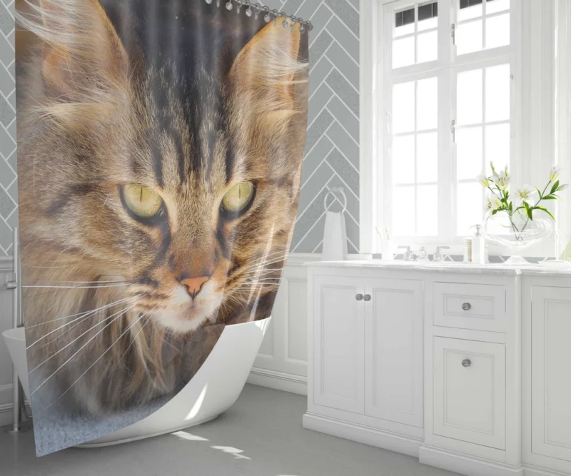 Cat Mysterious Gaze Captivating Eyes Shower Curtain 1