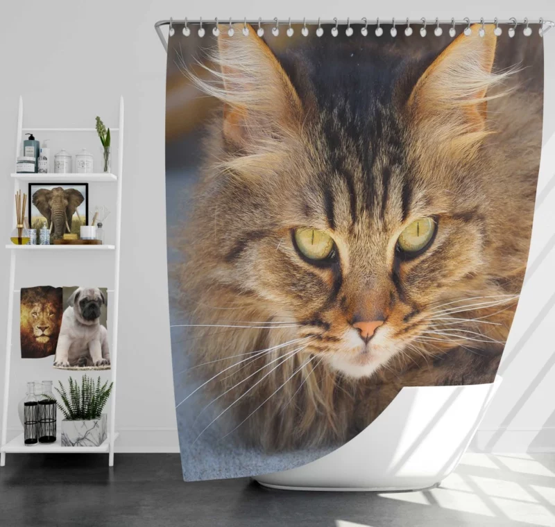 Cat Mysterious Gaze Captivating Eyes Shower Curtain