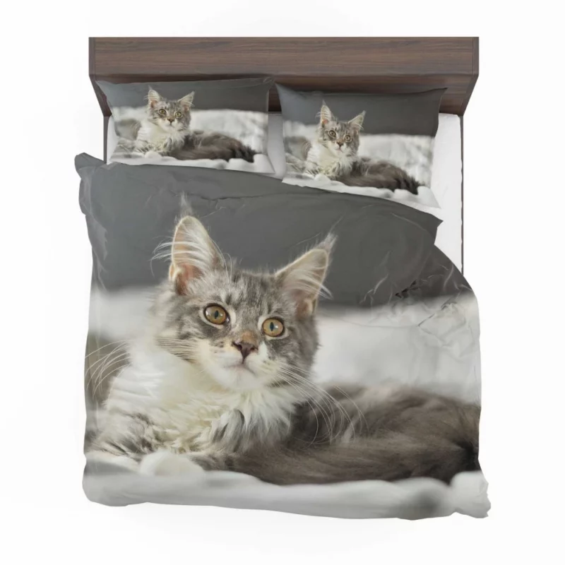 Cat Mysterious Gaze Enigmatic Intrigue Bedding Set 1