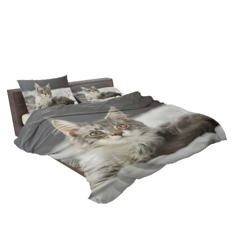 Cat Mysterious Gaze Enigmatic Intrigue Bedding Set 2