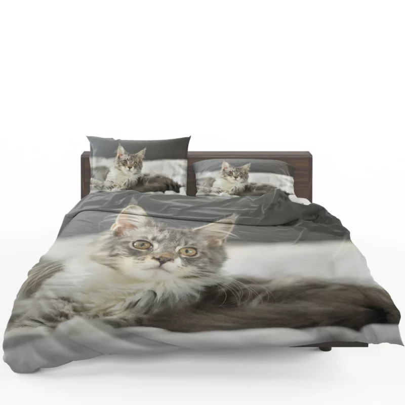 Cat Mysterious Gaze Enigmatic Intrigue Bedding Set