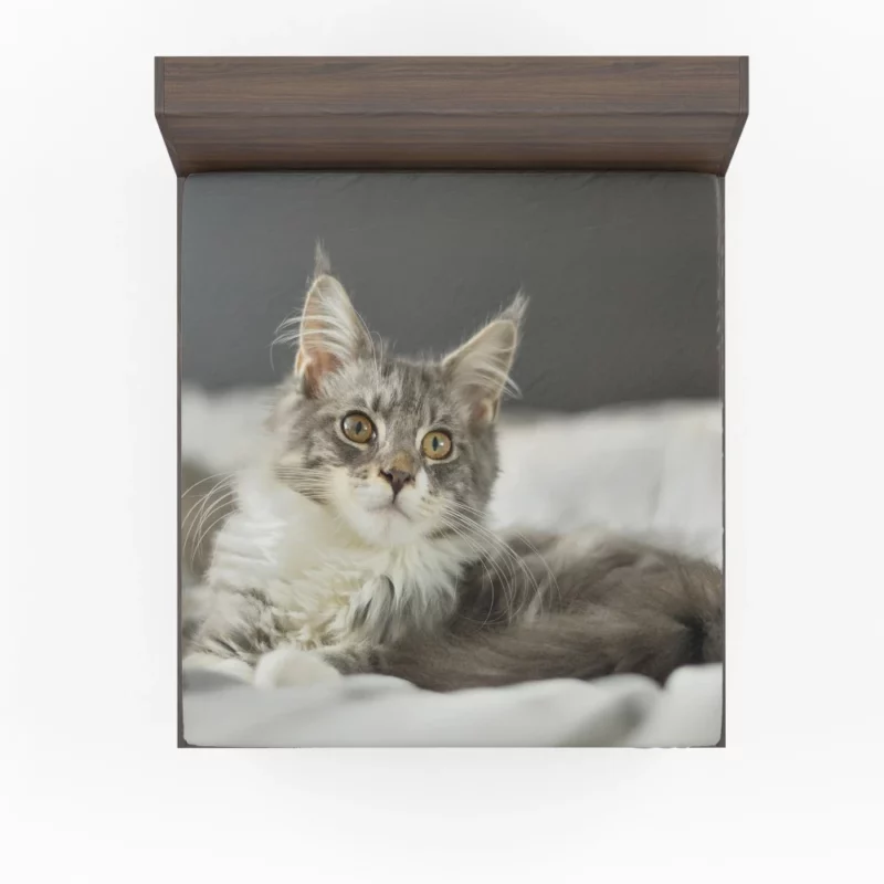 Cat Mysterious Gaze Enigmatic Intrigue Fitted Sheet 1