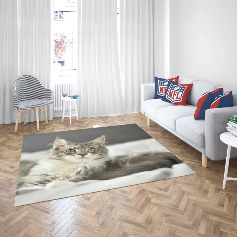 Cat Mysterious Gaze Enigmatic Intrigue Rug 2