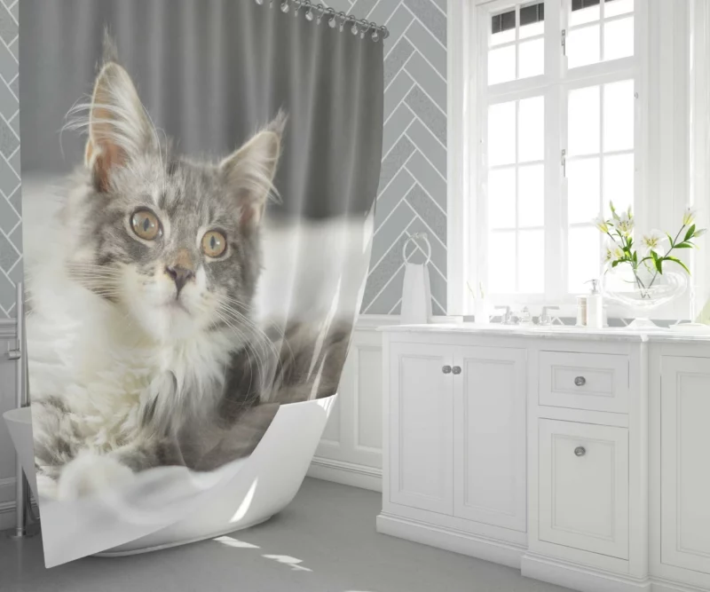 Cat Mysterious Gaze Enigmatic Intrigue Shower Curtain 1