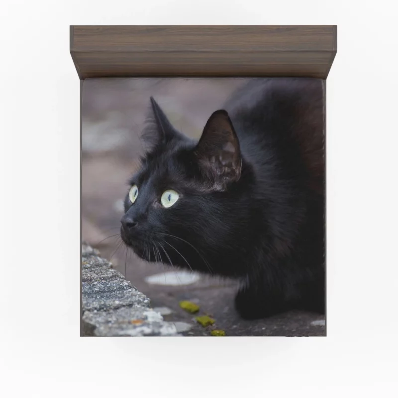 Cat Mysterious Gaze Fitted Sheet 1