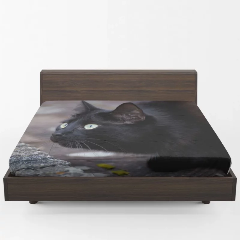 Cat Mysterious Gaze Fitted Sheet