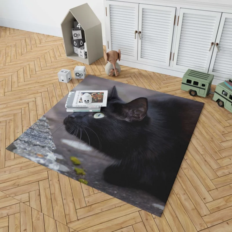 Cat Mysterious Gaze Rug 1