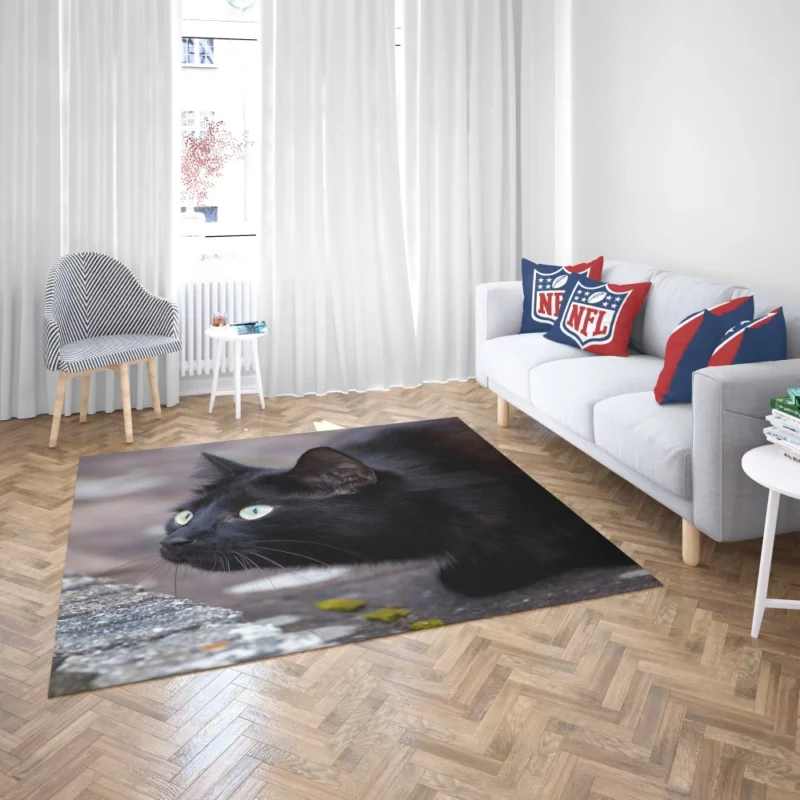 Cat Mysterious Gaze Rug 2