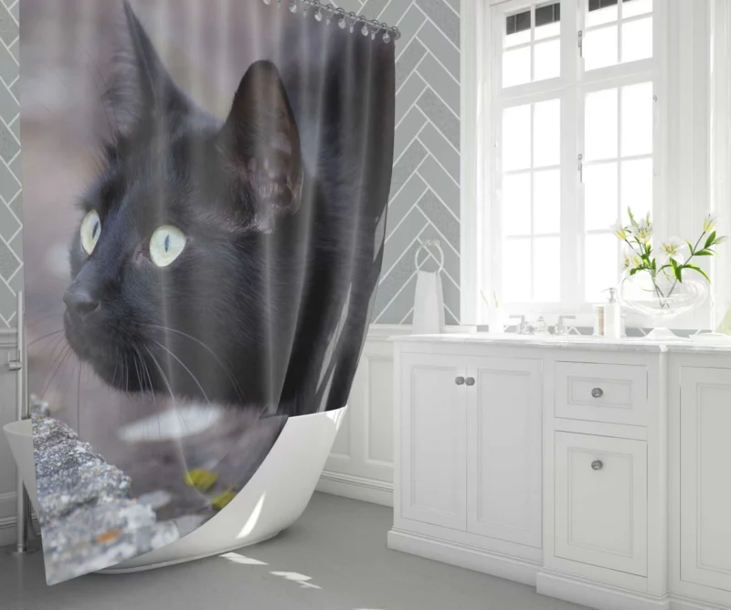 Cat Mysterious Gaze Shower Curtain 1