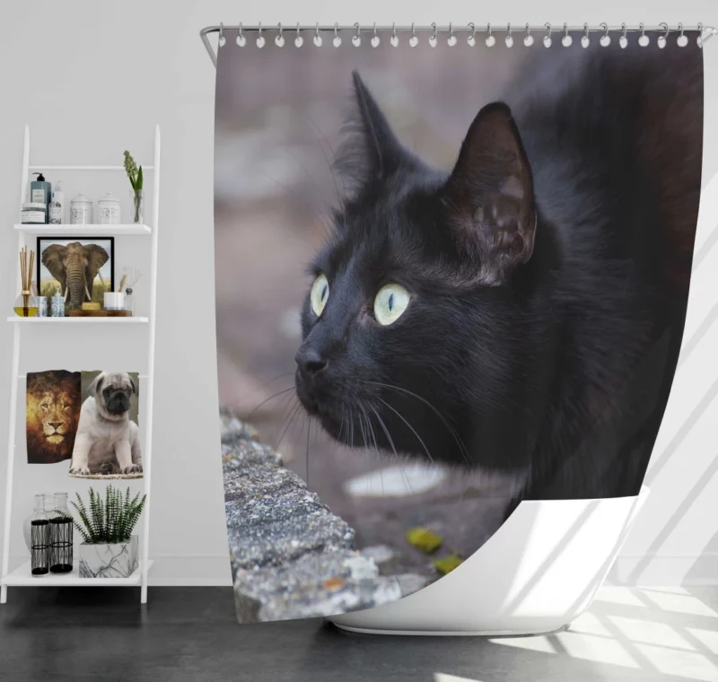 Cat Mysterious Gaze Shower Curtain