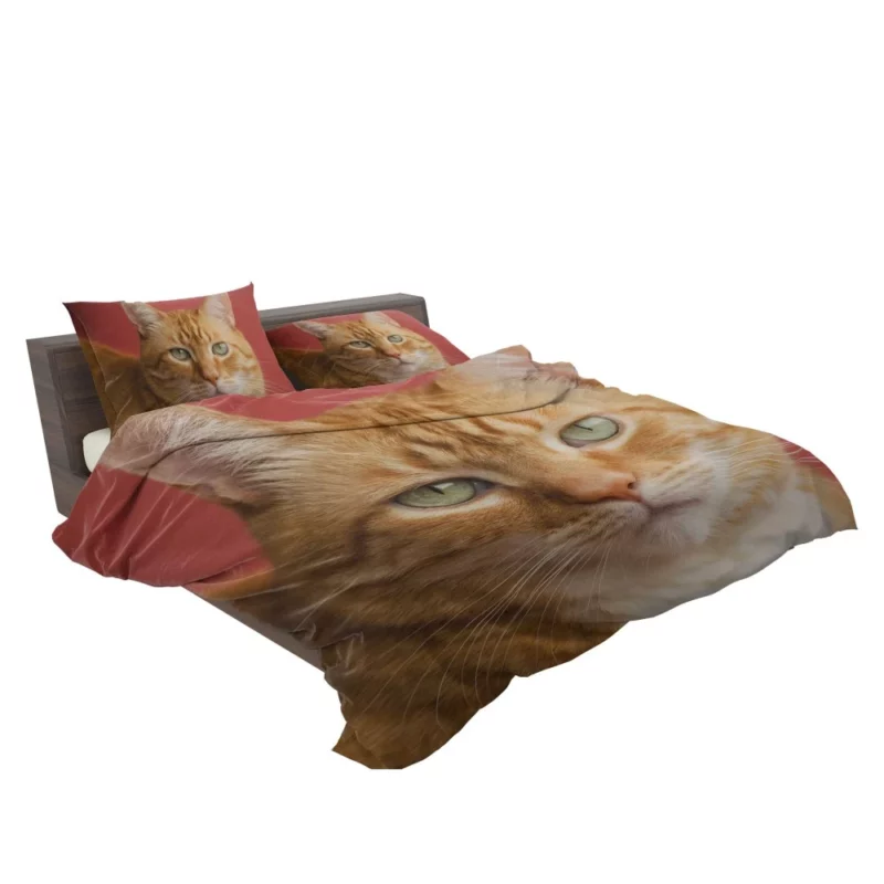 Cat Mysterious Gaze Silent Intrigue Bedding Set 2