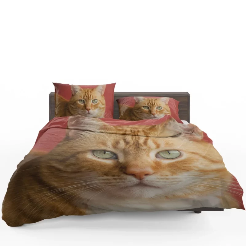 Cat Mysterious Gaze Silent Intrigue Bedding Set