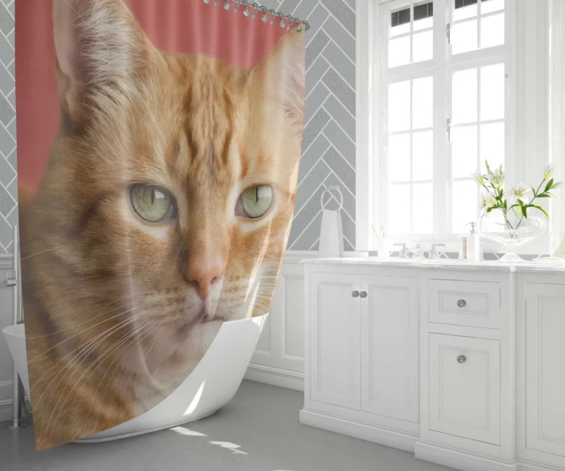 Cat Mysterious Gaze Silent Intrigue Shower Curtain 1