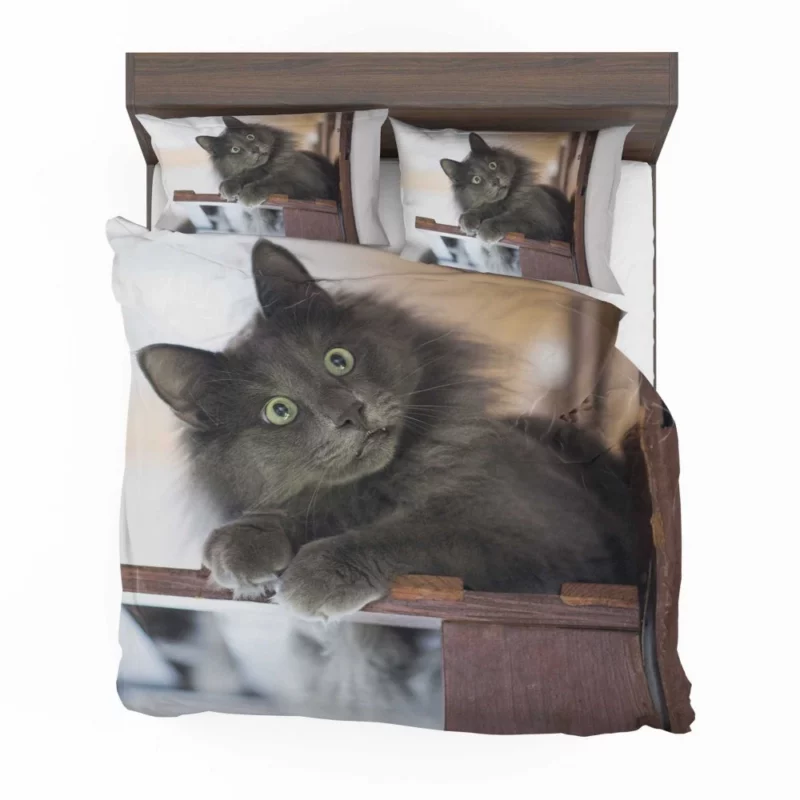 Cat Mysterious Presence Feline Intrigue Bedding Set 1