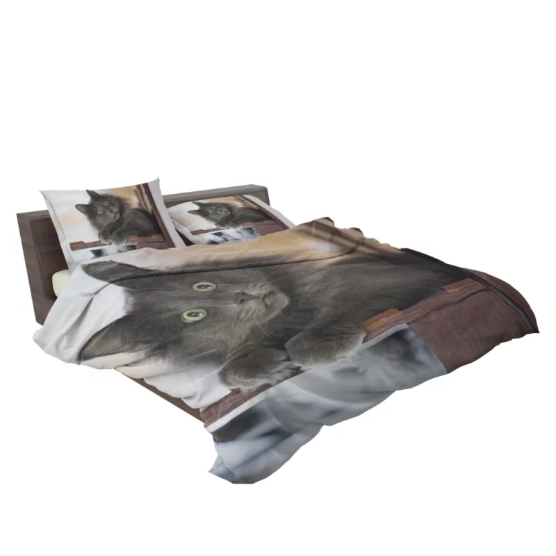 Cat Mysterious Presence Feline Intrigue Bedding Set 2