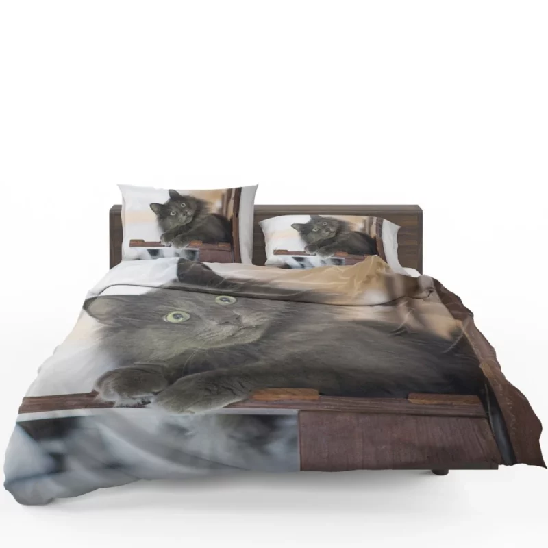 Cat Mysterious Presence Feline Intrigue Bedding Set