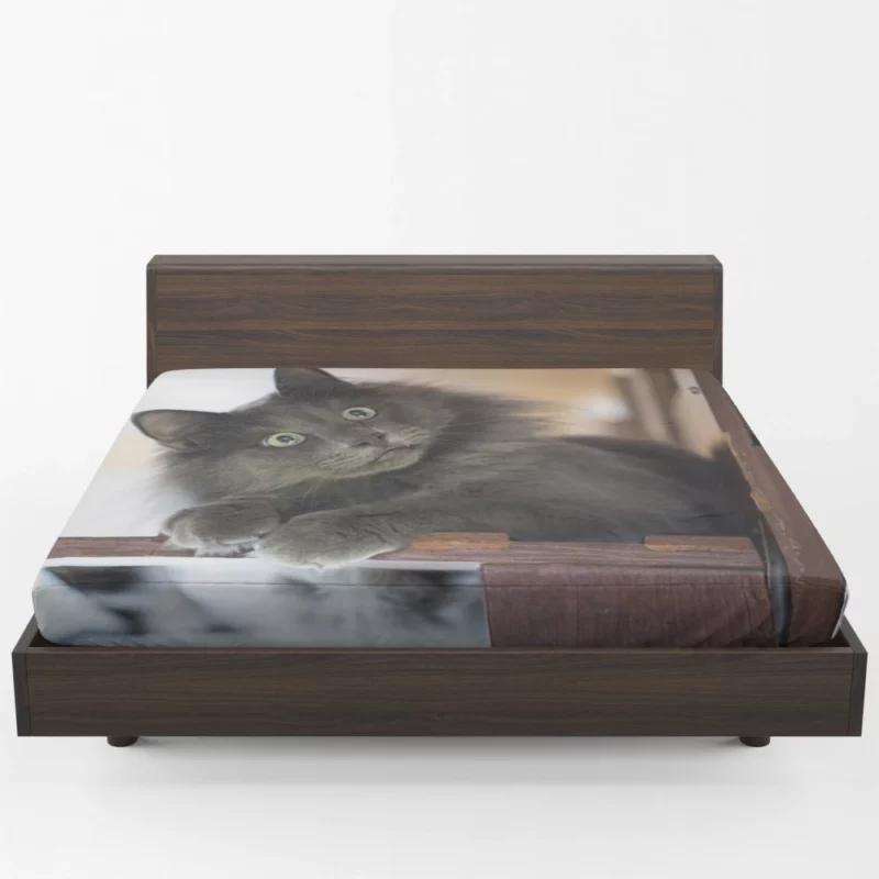 Cat Mysterious Presence Feline Intrigue Fitted Sheet