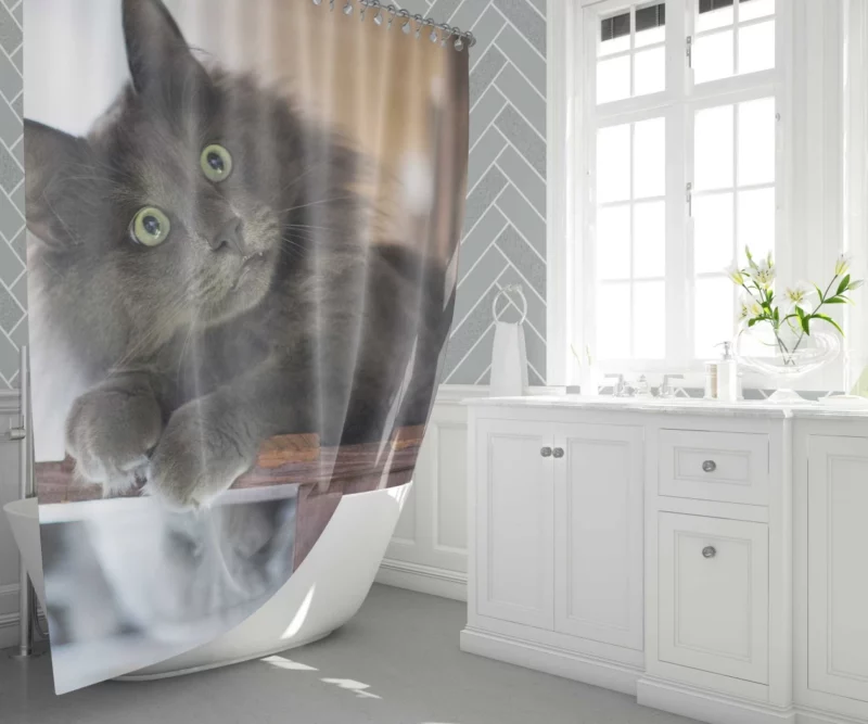 Cat Mysterious Presence Feline Intrigue Shower Curtain 1