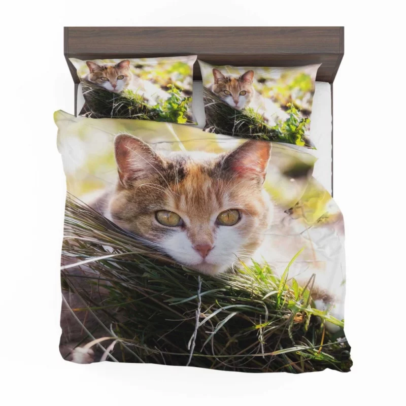 Cat Mysterious Stare Enigmatic Allure Bedding Set 1