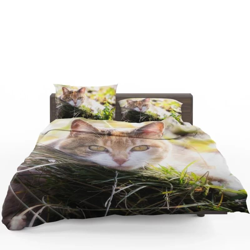 Cat Mysterious Stare Enigmatic Allure Bedding Set