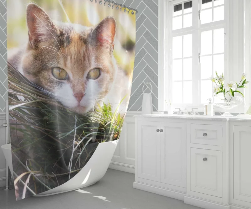 Cat Mysterious Stare Enigmatic Allure Shower Curtain 1