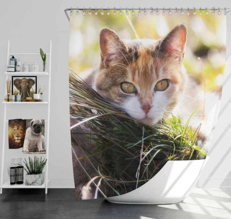 Cat Mysterious Stare Enigmatic Allure Shower Curtain