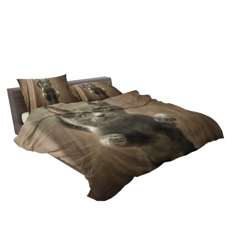 Cat Mysterious Stare Enigmatic Gaze Bedding Set 2