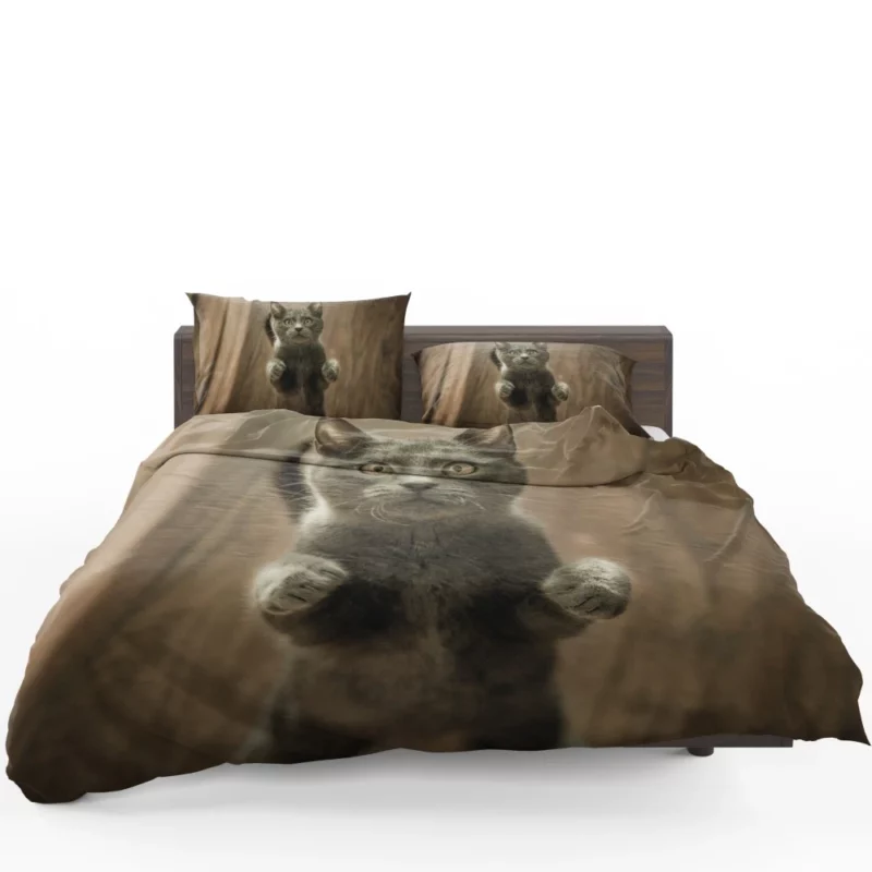 Cat Mysterious Stare Enigmatic Gaze Bedding Set