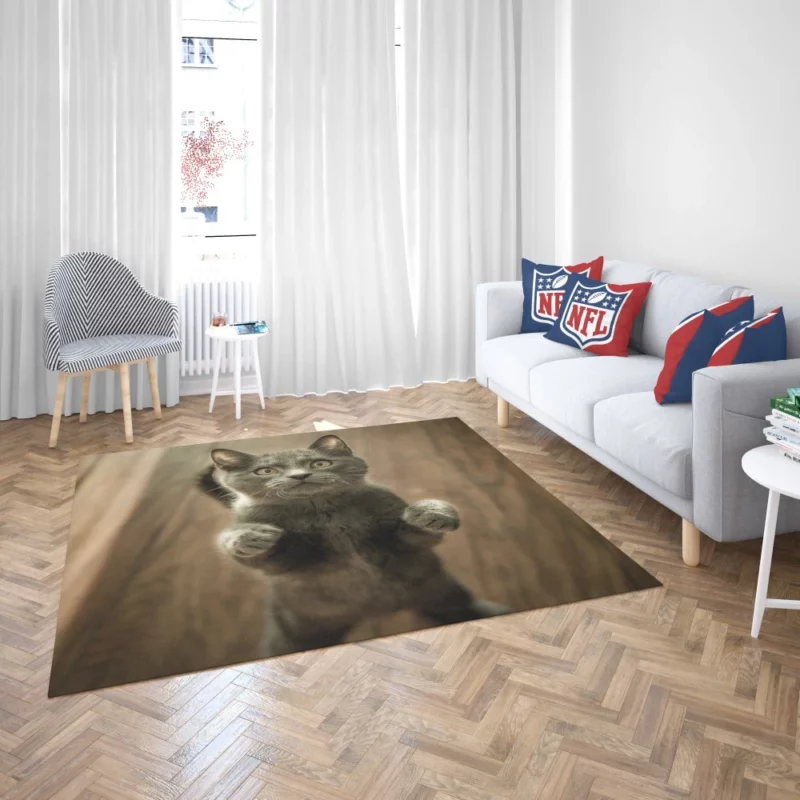 Cat Mysterious Stare Enigmatic Gaze Rug 2