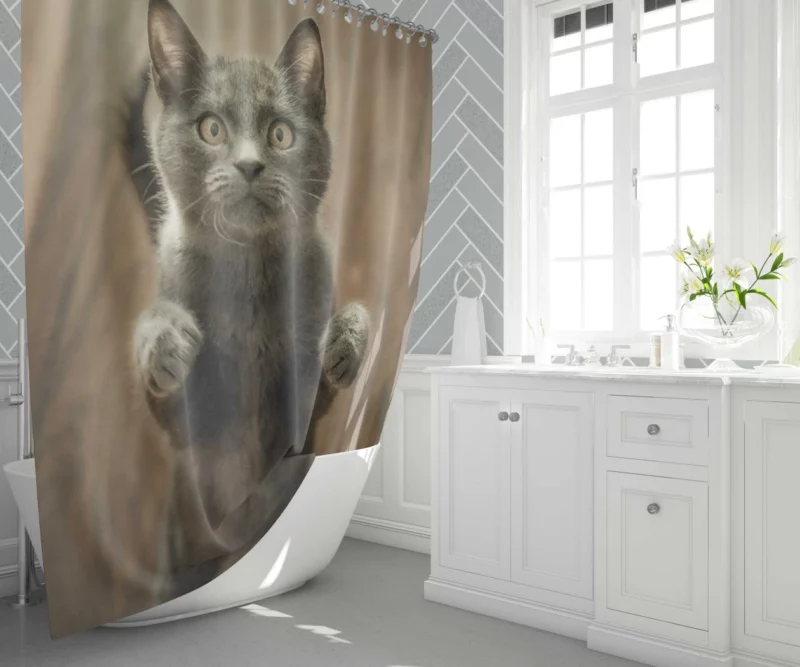 Cat Mysterious Stare Enigmatic Gaze Shower Curtain 1