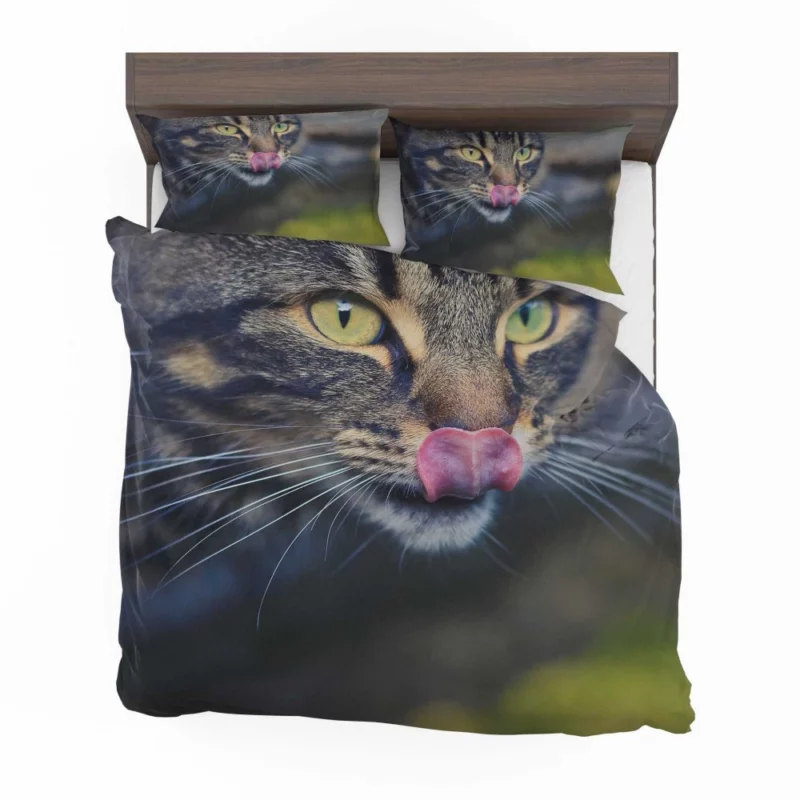 Cat Mysterious Stare Feline Elegance Bedding Set 1