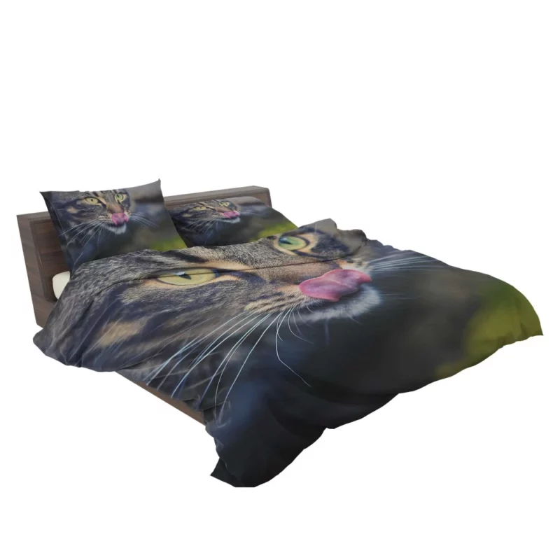 Cat Mysterious Stare Feline Elegance Bedding Set 2