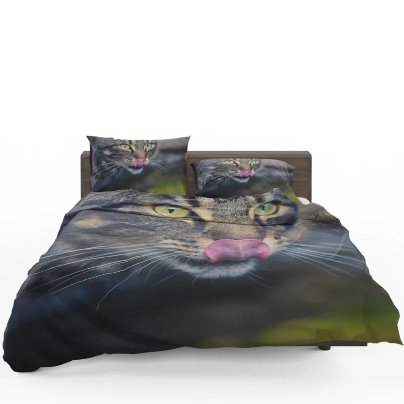 Cat Mysterious Stare Feline Elegance Bedding Set