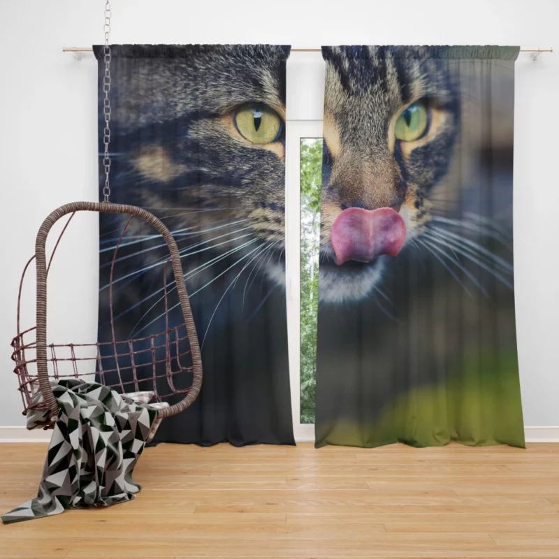 Cat Mysterious Stare Feline Elegance Curtain