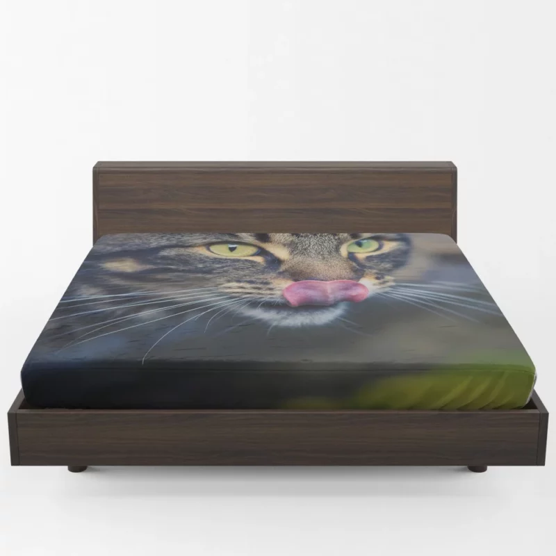 Cat Mysterious Stare Feline Elegance Fitted Sheet