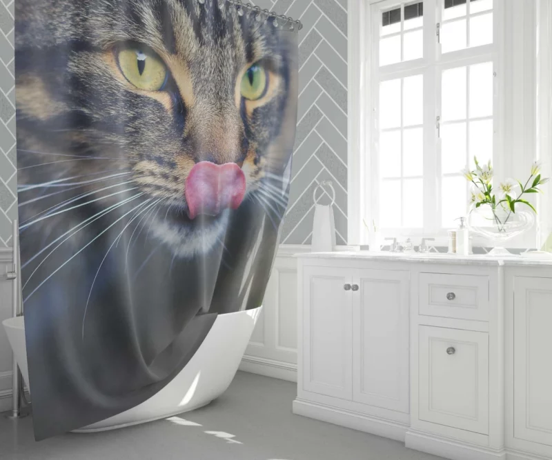 Cat Mysterious Stare Feline Elegance Shower Curtain 1