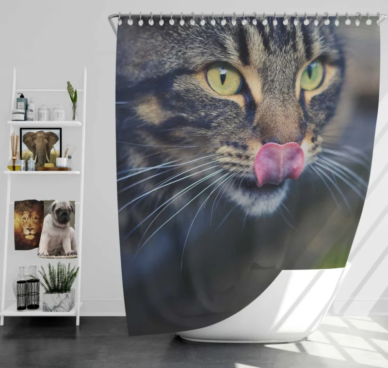 Cat Mysterious Stare Feline Elegance Shower Curtain