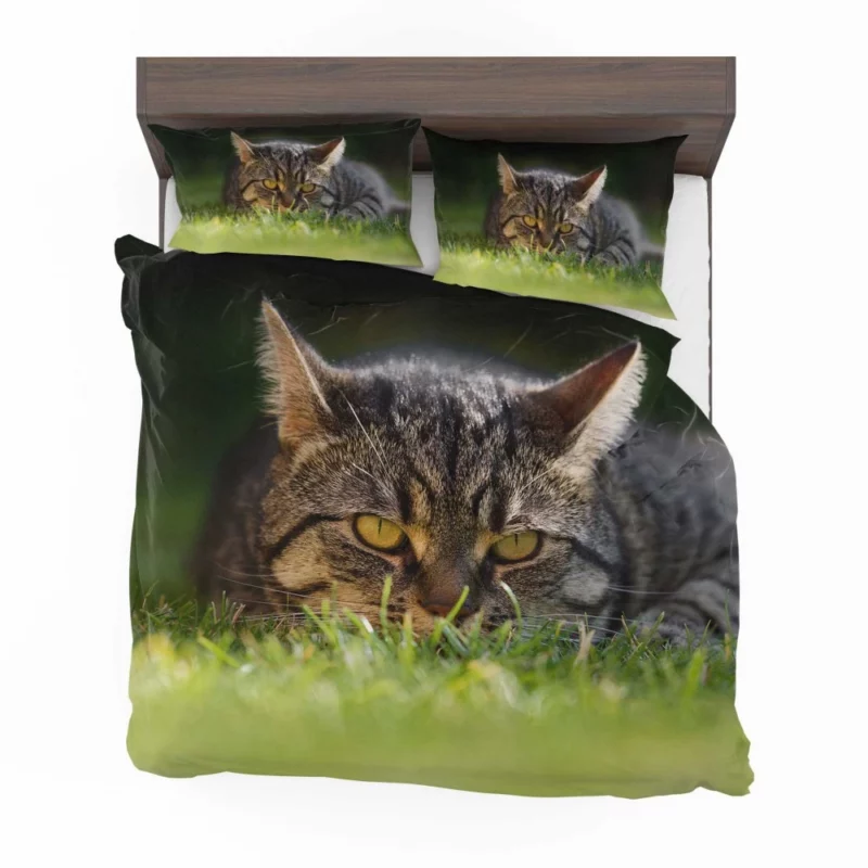 Cat Mysterious Stare Feline Intrigue Bedding Set 1