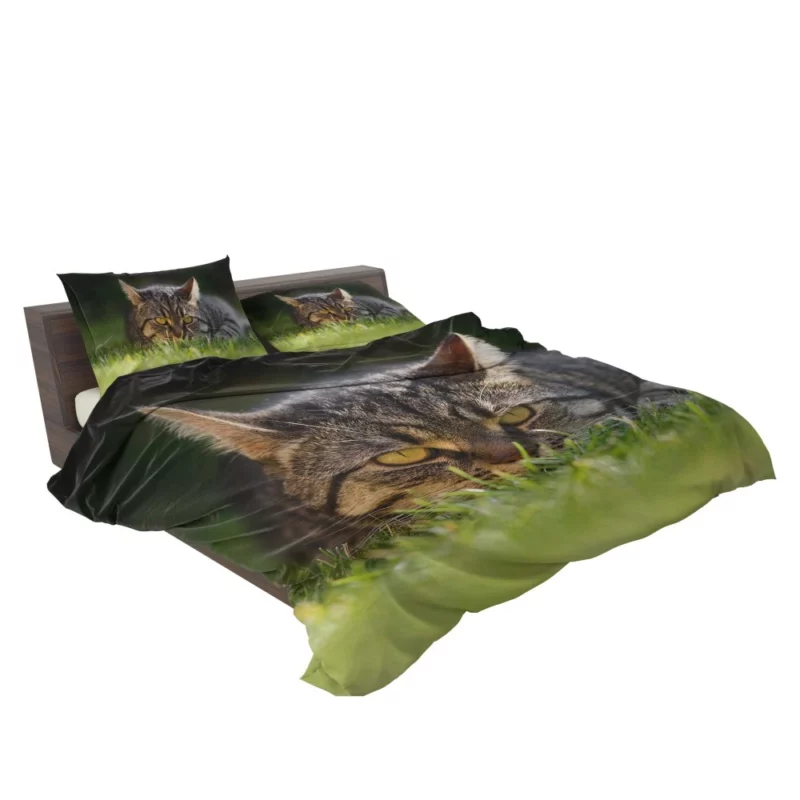 Cat Mysterious Stare Feline Intrigue Bedding Set 2