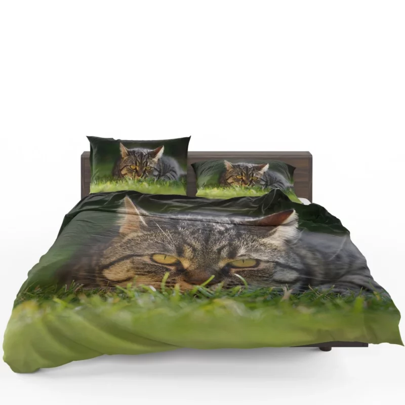 Cat Mysterious Stare Feline Intrigue Bedding Set