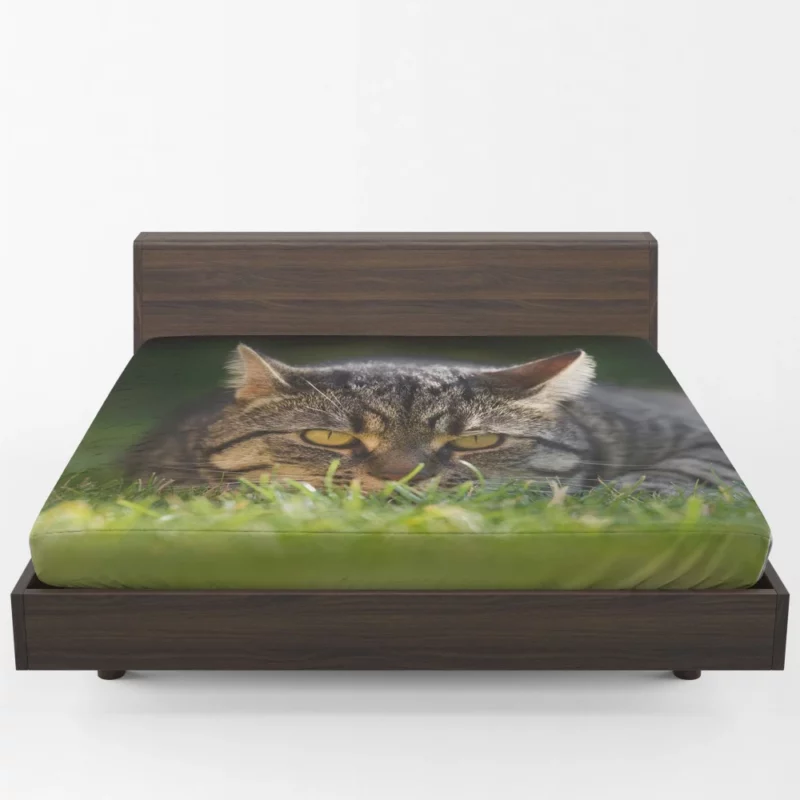 Cat Mysterious Stare Feline Intrigue Fitted Sheet