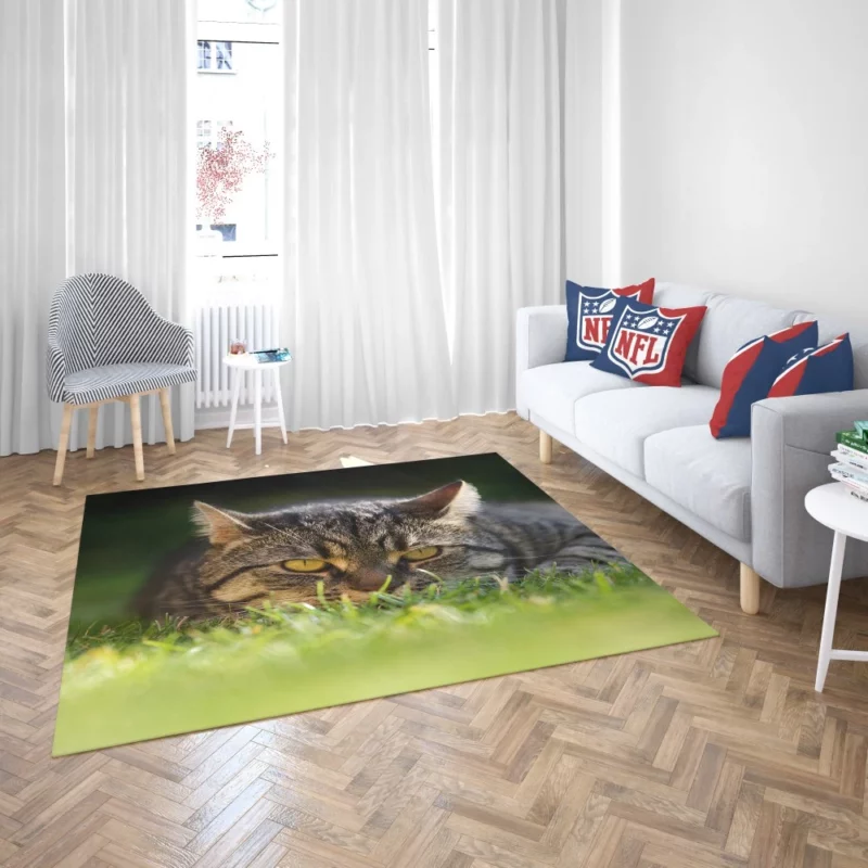 Cat Mysterious Stare Feline Intrigue Rug 2