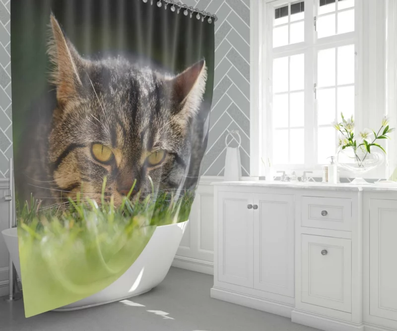 Cat Mysterious Stare Feline Intrigue Shower Curtain 1