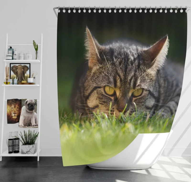 Cat Mysterious Stare Feline Intrigue Shower Curtain