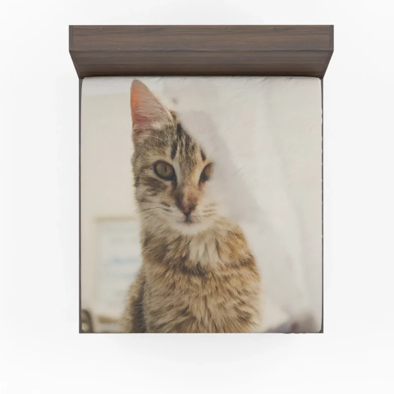 Cat Mysterious Stare Silent Elegance Fitted Sheet 1