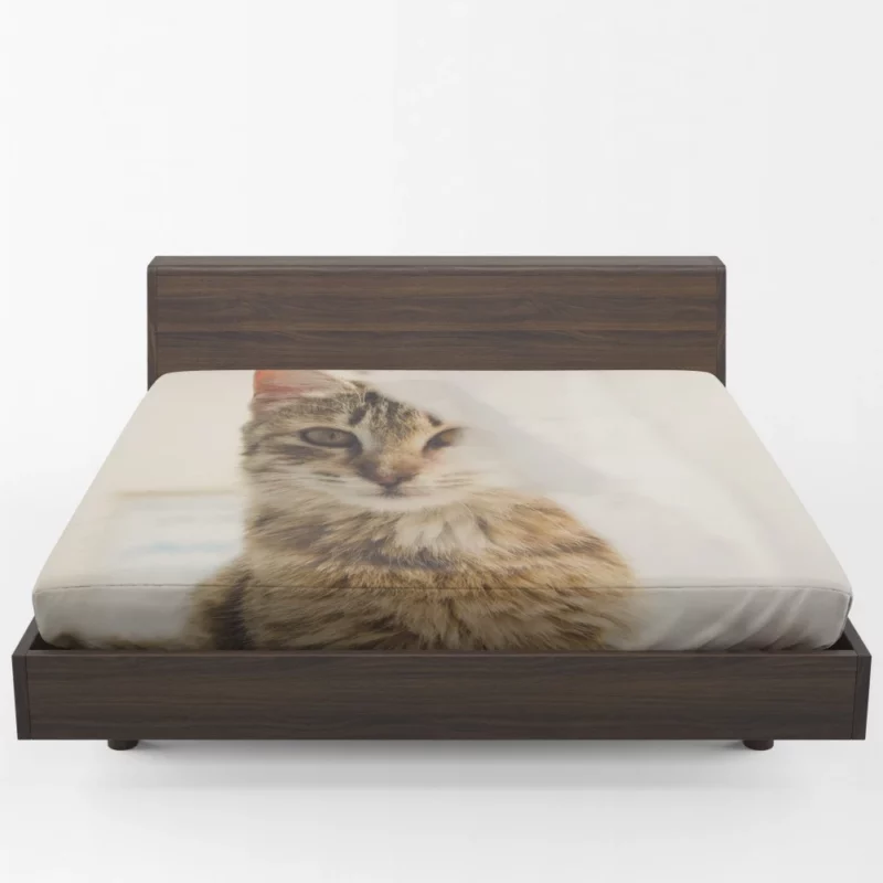 Cat Mysterious Stare Silent Elegance Fitted Sheet