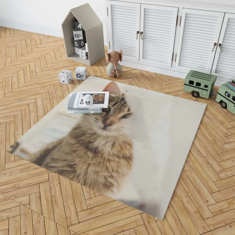 Cat Mysterious Stare Silent Elegance Rug 1