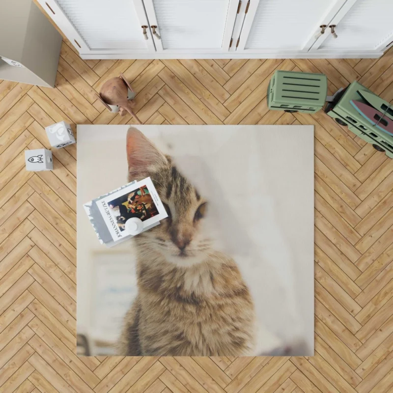 Cat Mysterious Stare Silent Elegance Rug