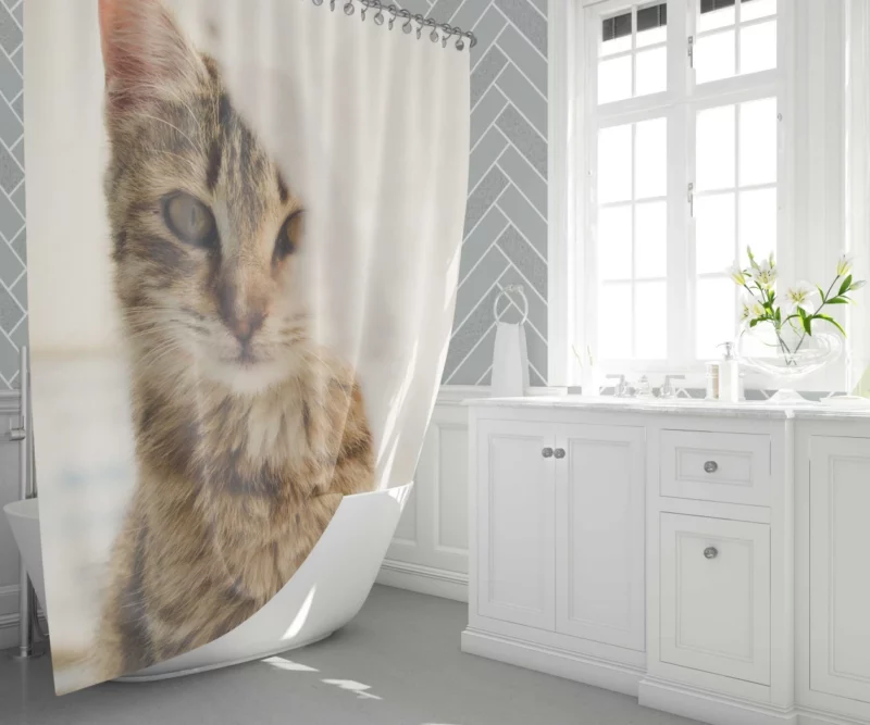 Cat Mysterious Stare Silent Elegance Shower Curtain 1