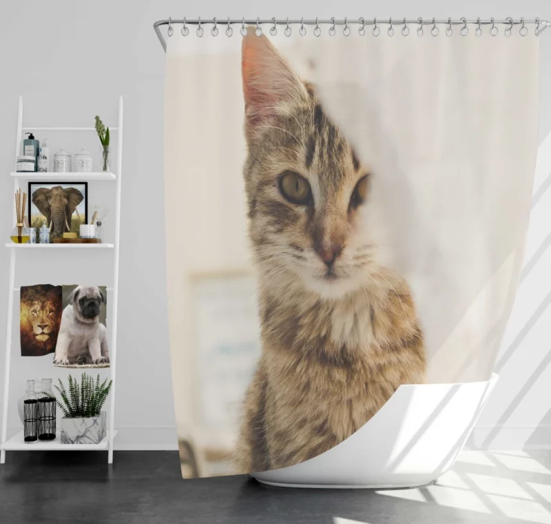 Cat Mysterious Stare Silent Elegance Shower Curtain